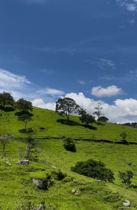 Terreno à venda, 110000m² - Foto 1