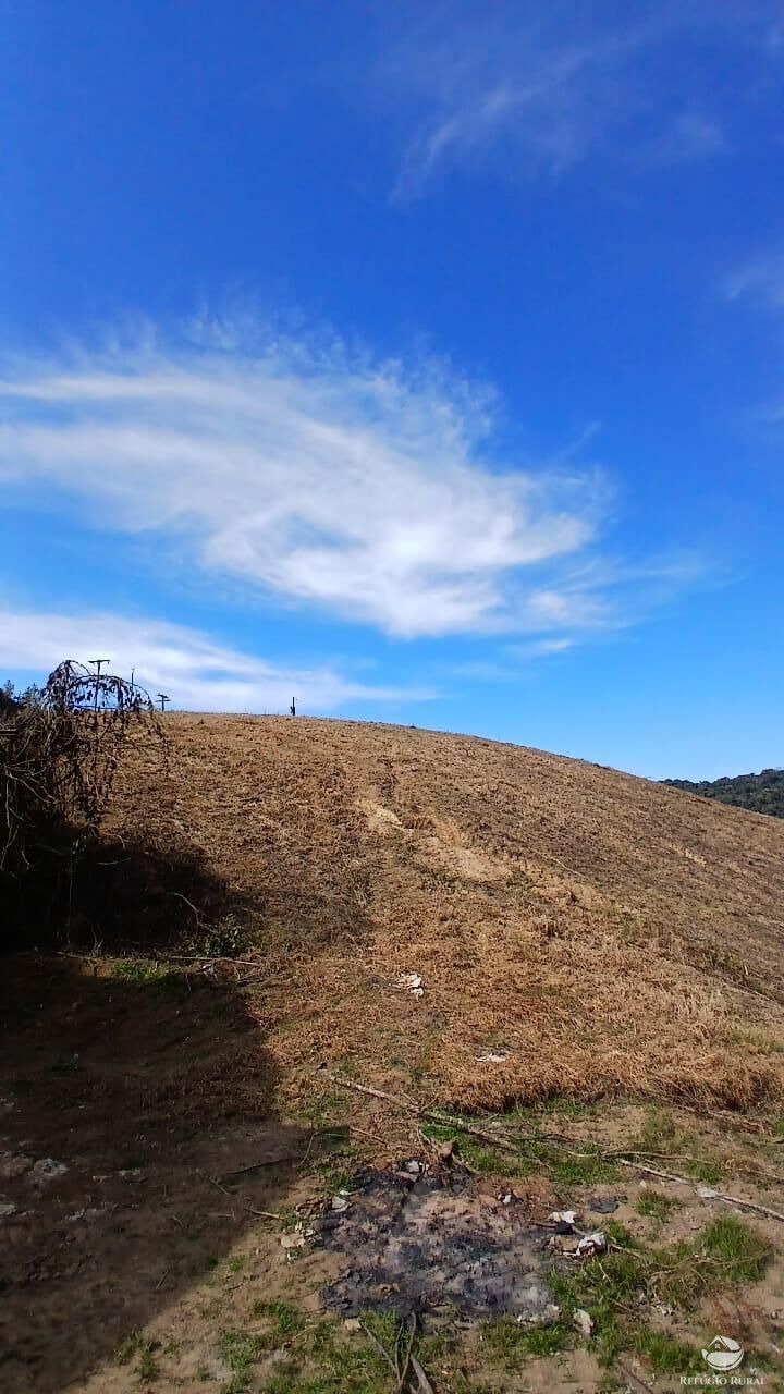 Chácara à venda com 1 quarto, 20000m² - Foto 1