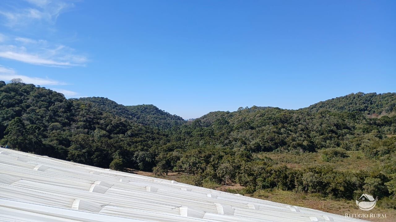 Chácara à venda com 1 quarto, 20000m² - Foto 3