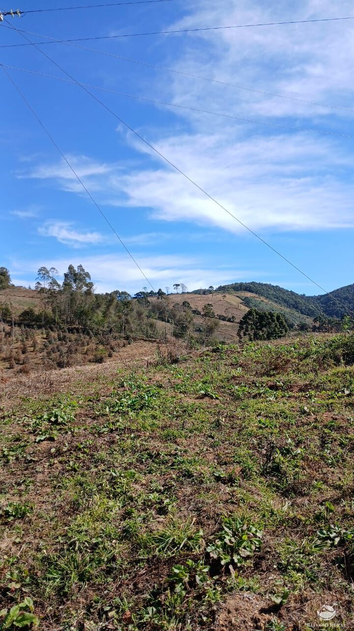 Chácara à venda com 1 quarto, 20000m² - Foto 2
