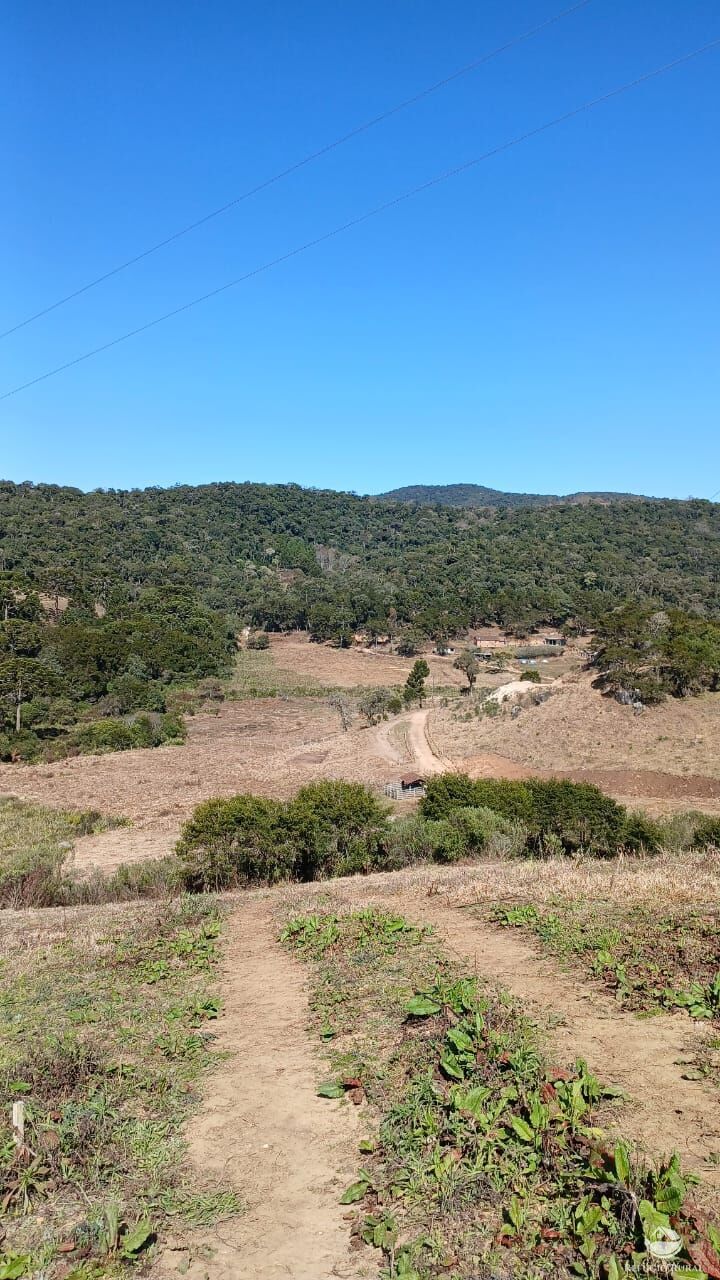 Chácara à venda com 1 quarto, 20000m² - Foto 4