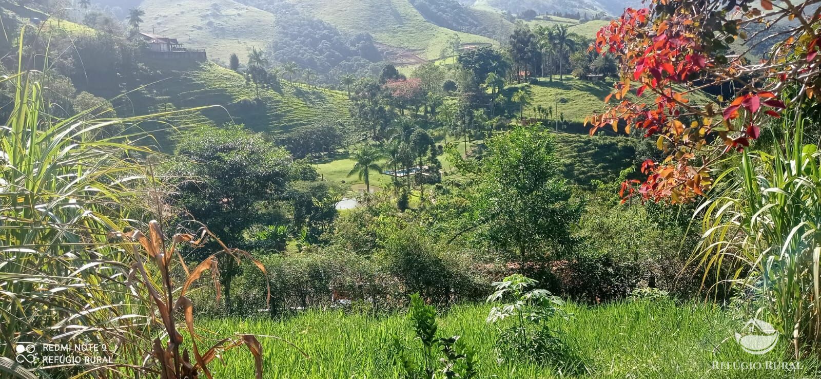 Fazenda à venda com 7 quartos, 30000m² - Foto 14