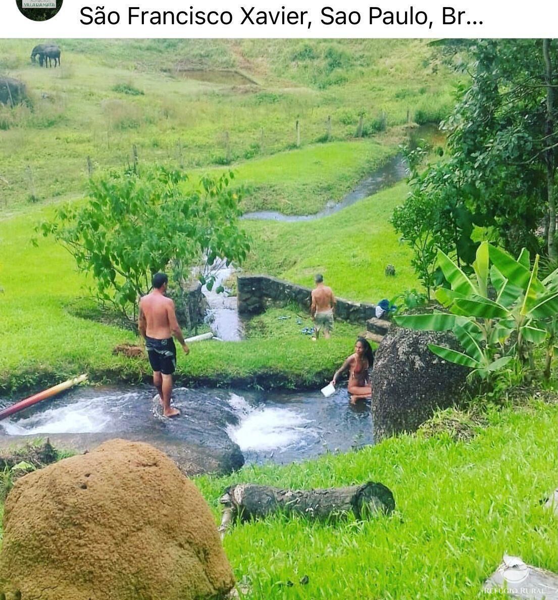 Fazenda à venda com 7 quartos, 30000m² - Foto 34