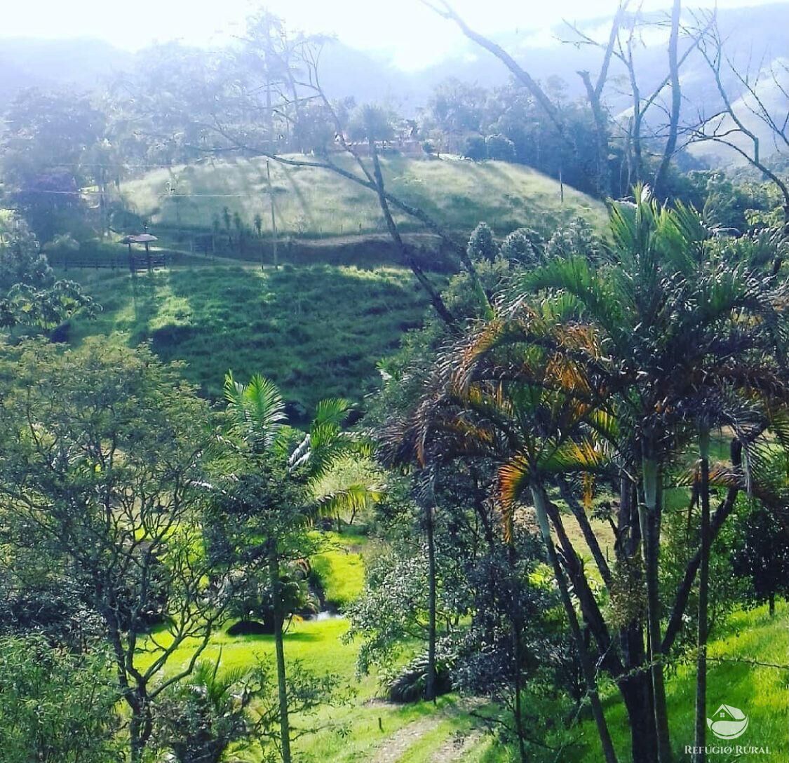 Fazenda à venda com 7 quartos, 30000m² - Foto 30