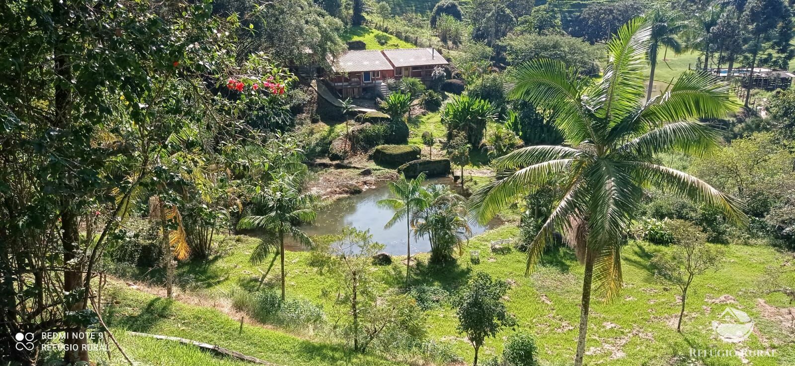 Fazenda à venda com 7 quartos, 30000m² - Foto 11