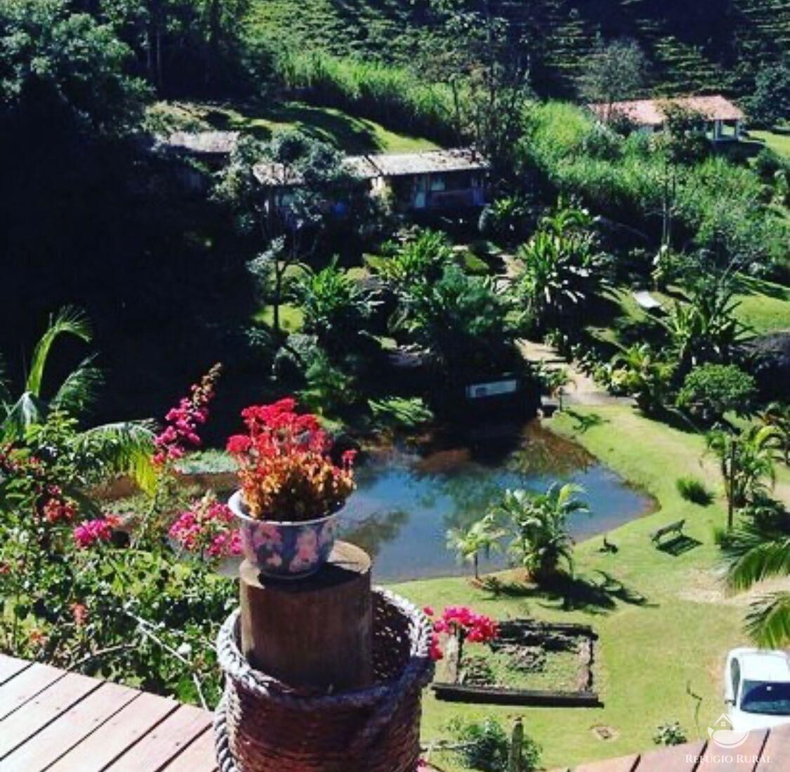 Fazenda à venda com 7 quartos, 30000m² - Foto 39