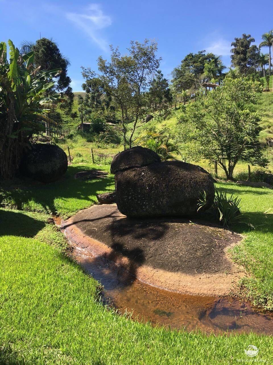 Fazenda à venda com 7 quartos, 30000m² - Foto 26