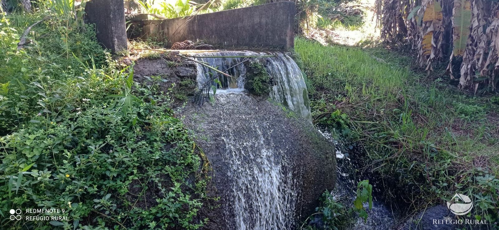 Fazenda à venda com 7 quartos, 30000m² - Foto 10