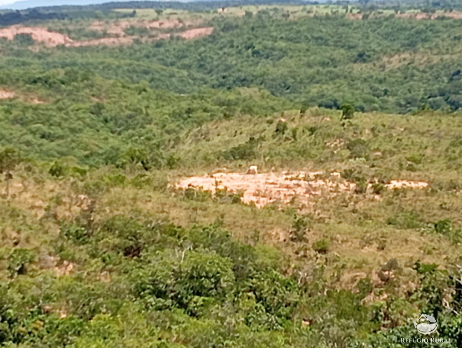 Fazenda à venda com 1 quarto, 13745600m² - Foto 12