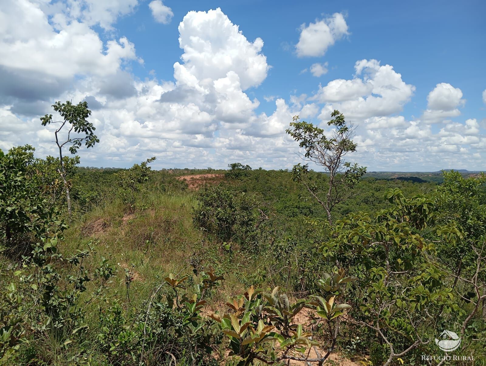 Fazenda à venda com 1 quarto, 13745600m² - Foto 5