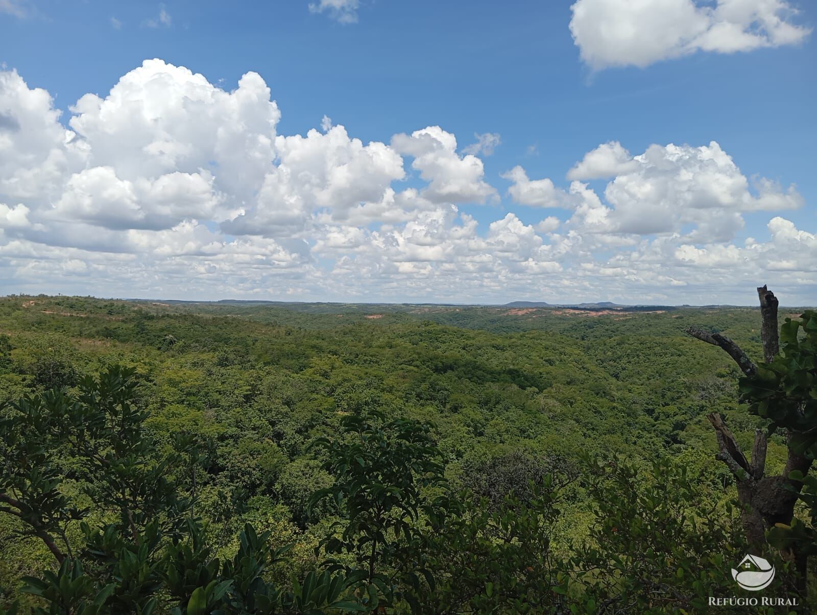 Fazenda à venda com 1 quarto, 13745600m² - Foto 7