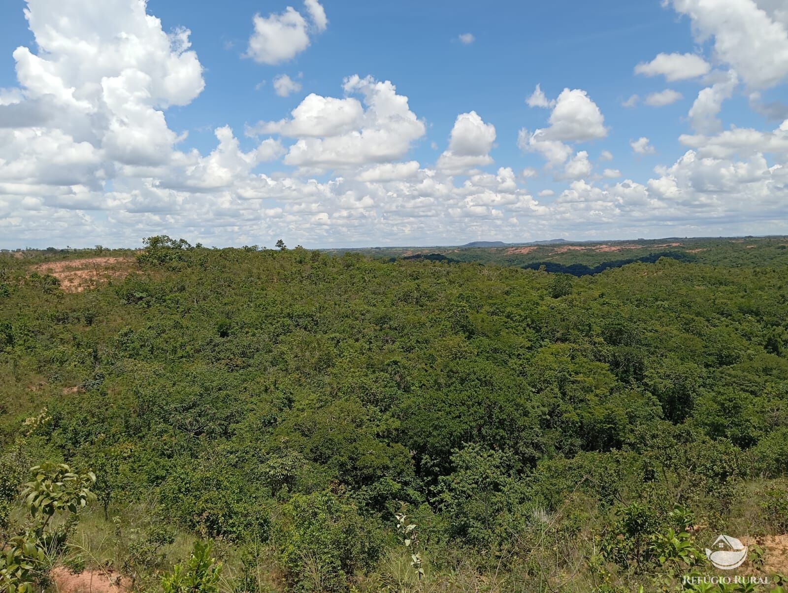 Fazenda à venda com 1 quarto, 13745600m² - Foto 10