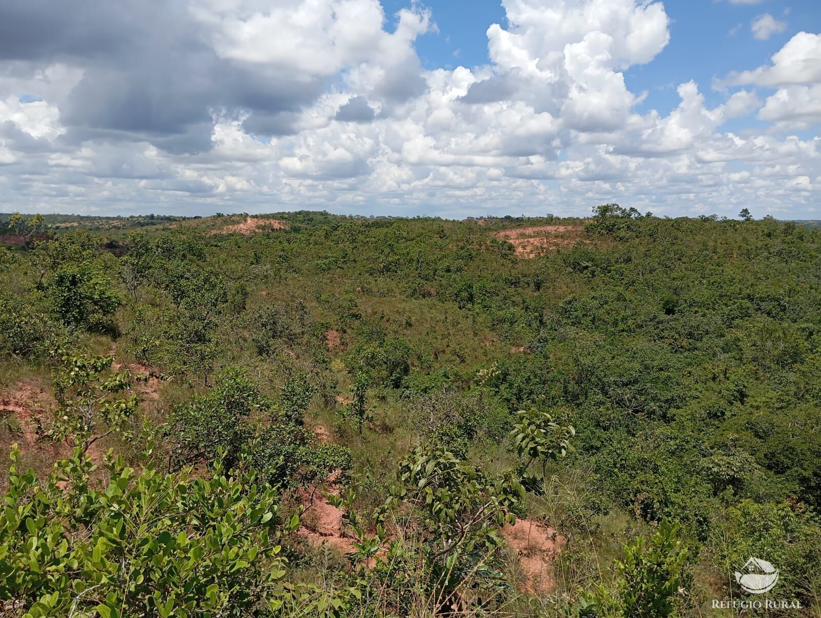 Fazenda à venda com 1 quarto, 13745600m² - Foto 11