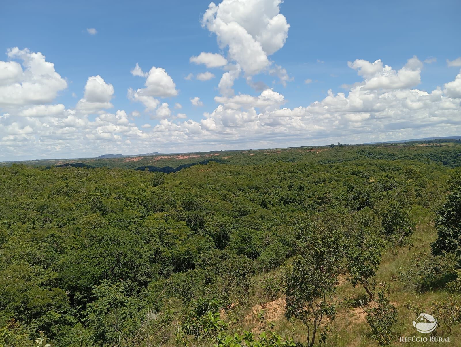 Fazenda à venda com 1 quarto, 13745600m² - Foto 9