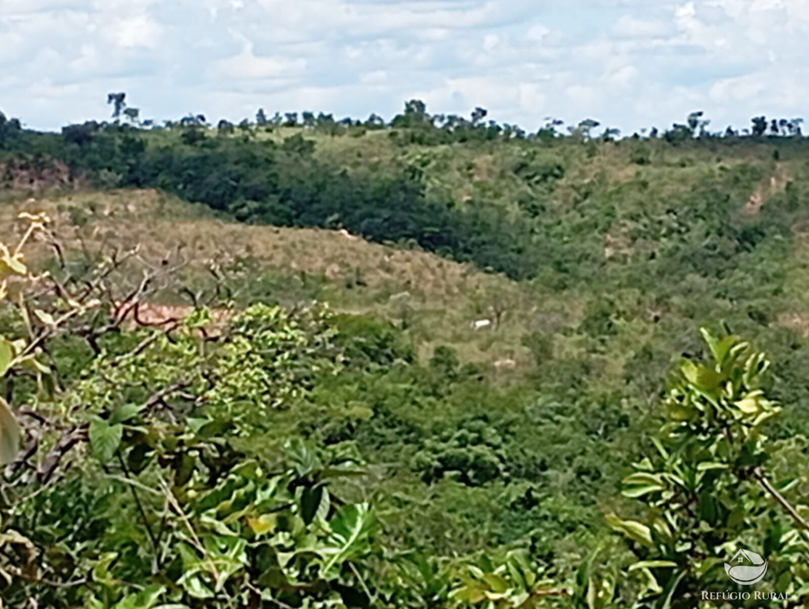 Fazenda à venda com 1 quarto, 13745600m² - Foto 13