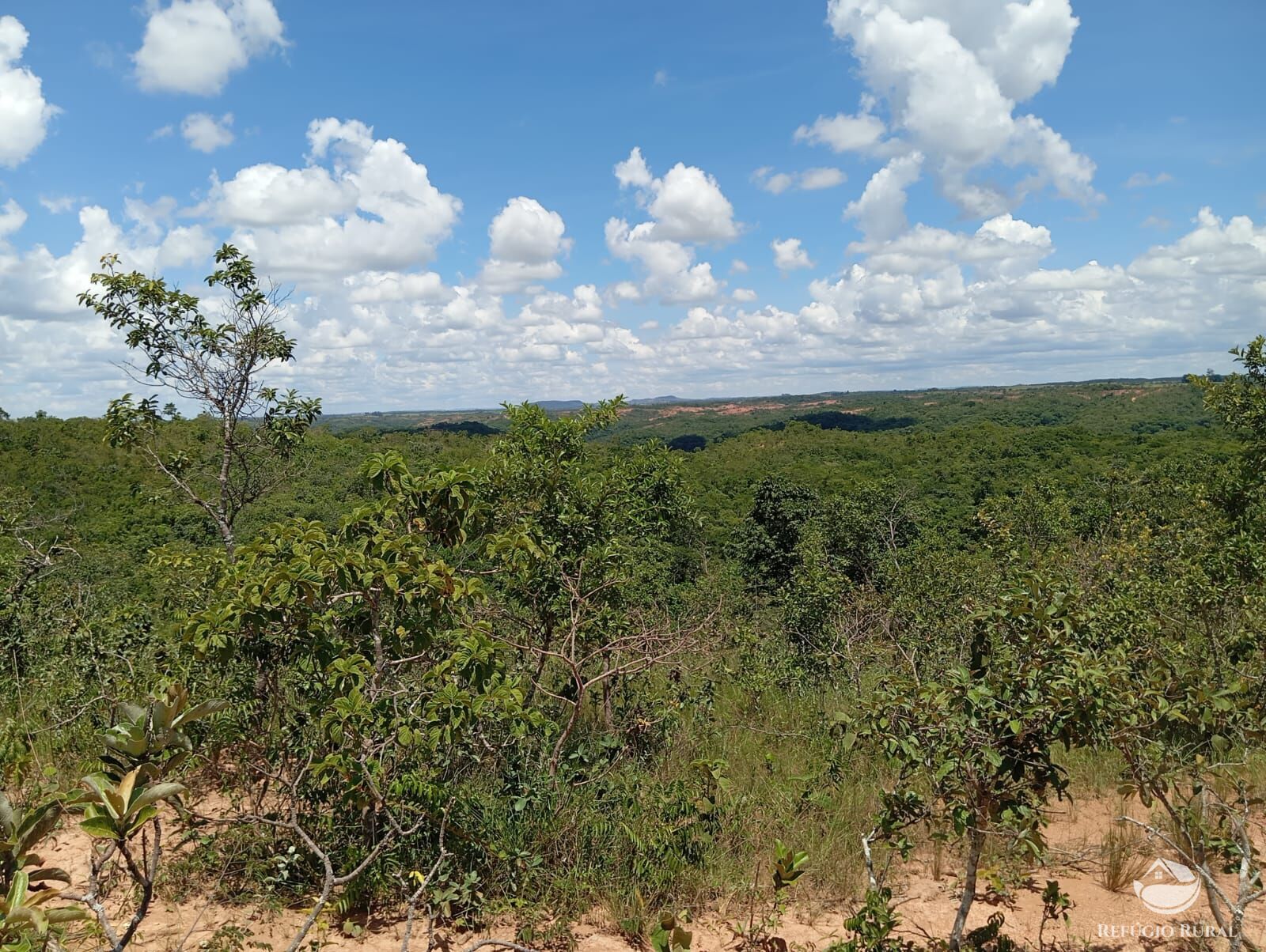 Fazenda à venda com 1 quarto, 13745600m² - Foto 3