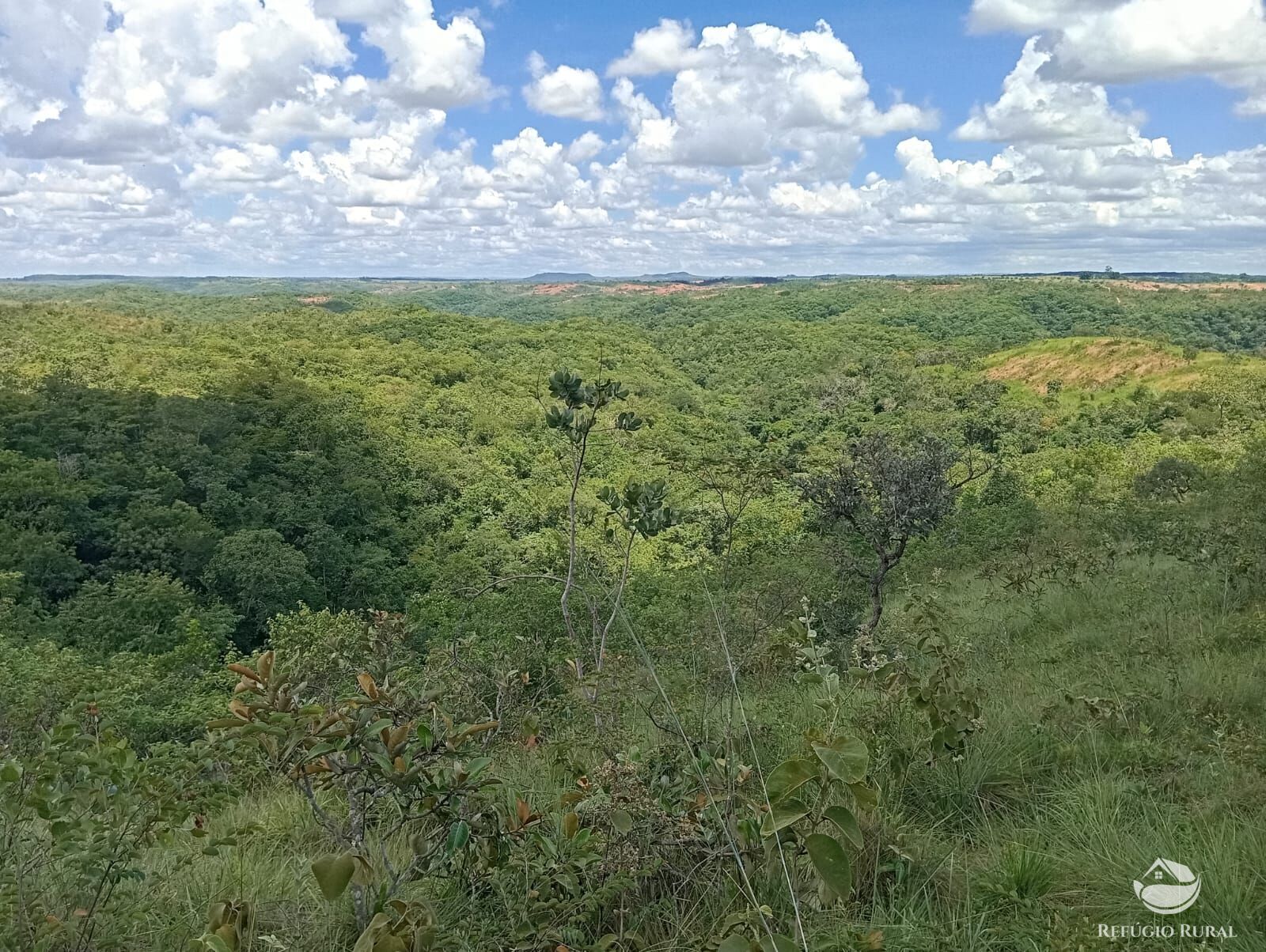 Fazenda à venda com 1 quarto, 13745600m² - Foto 8