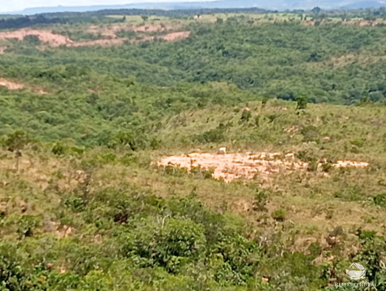 Fazenda à venda com 1 quarto, 13745600m² - Foto 14