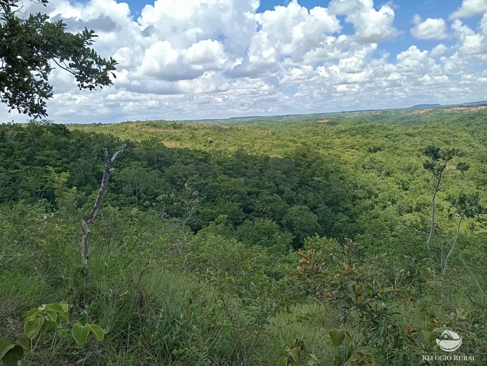 Fazenda à venda com 1 quarto, 13745600m² - Foto 6