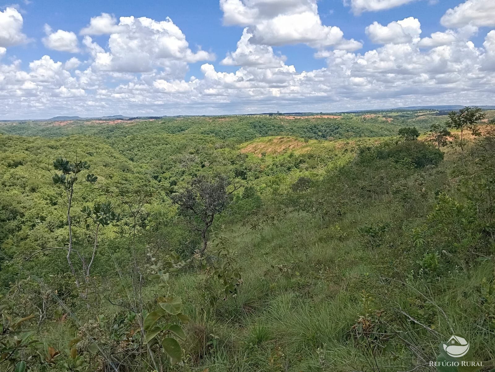 Fazenda à venda com 1 quarto, 13745600m² - Foto 1