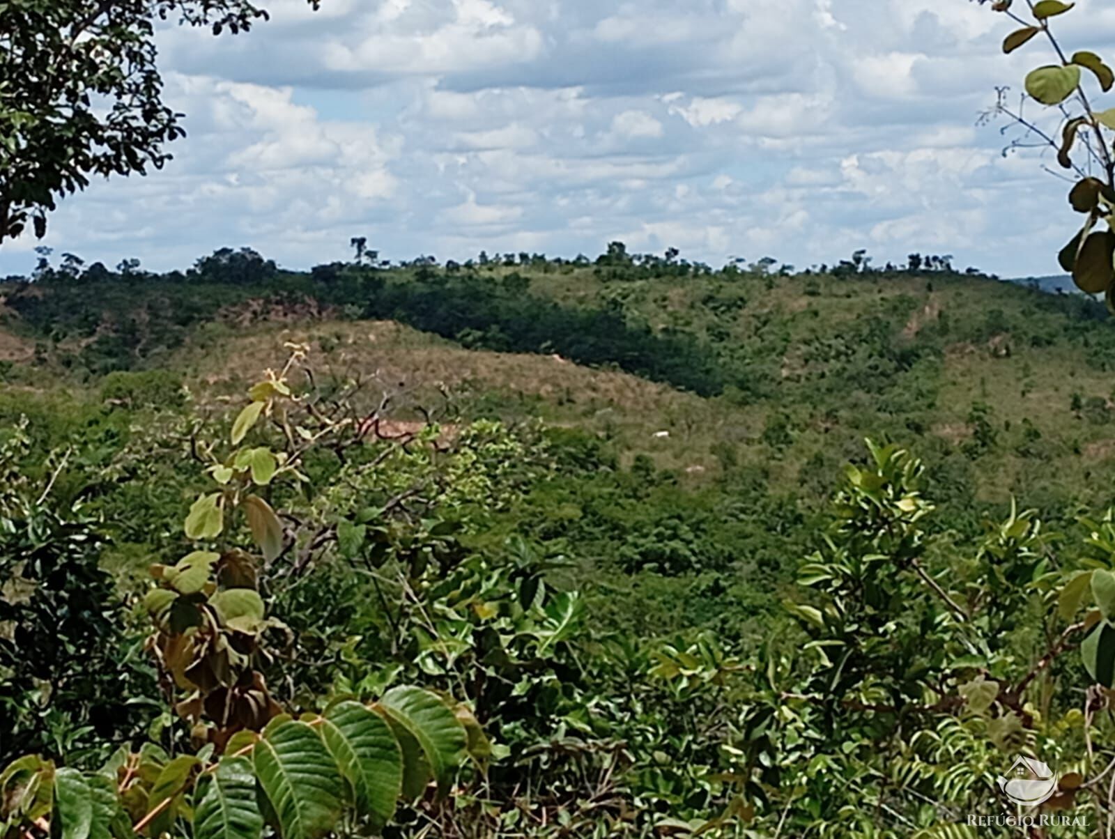 Fazenda à venda com 1 quarto, 13745600m² - Foto 2