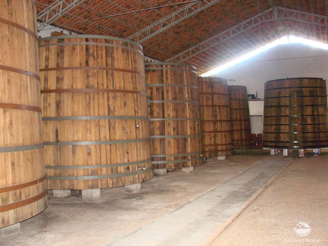 Fazenda à venda com 2 quartos, 80000m² - Foto 6