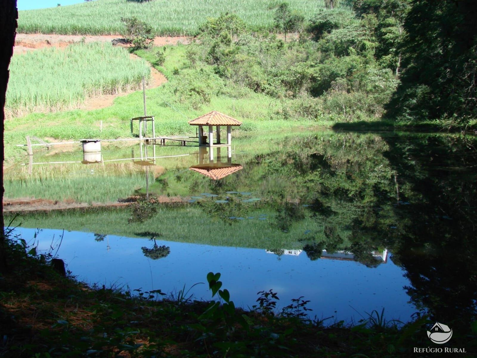 Fazenda à venda com 2 quartos, 80000m² - Foto 32