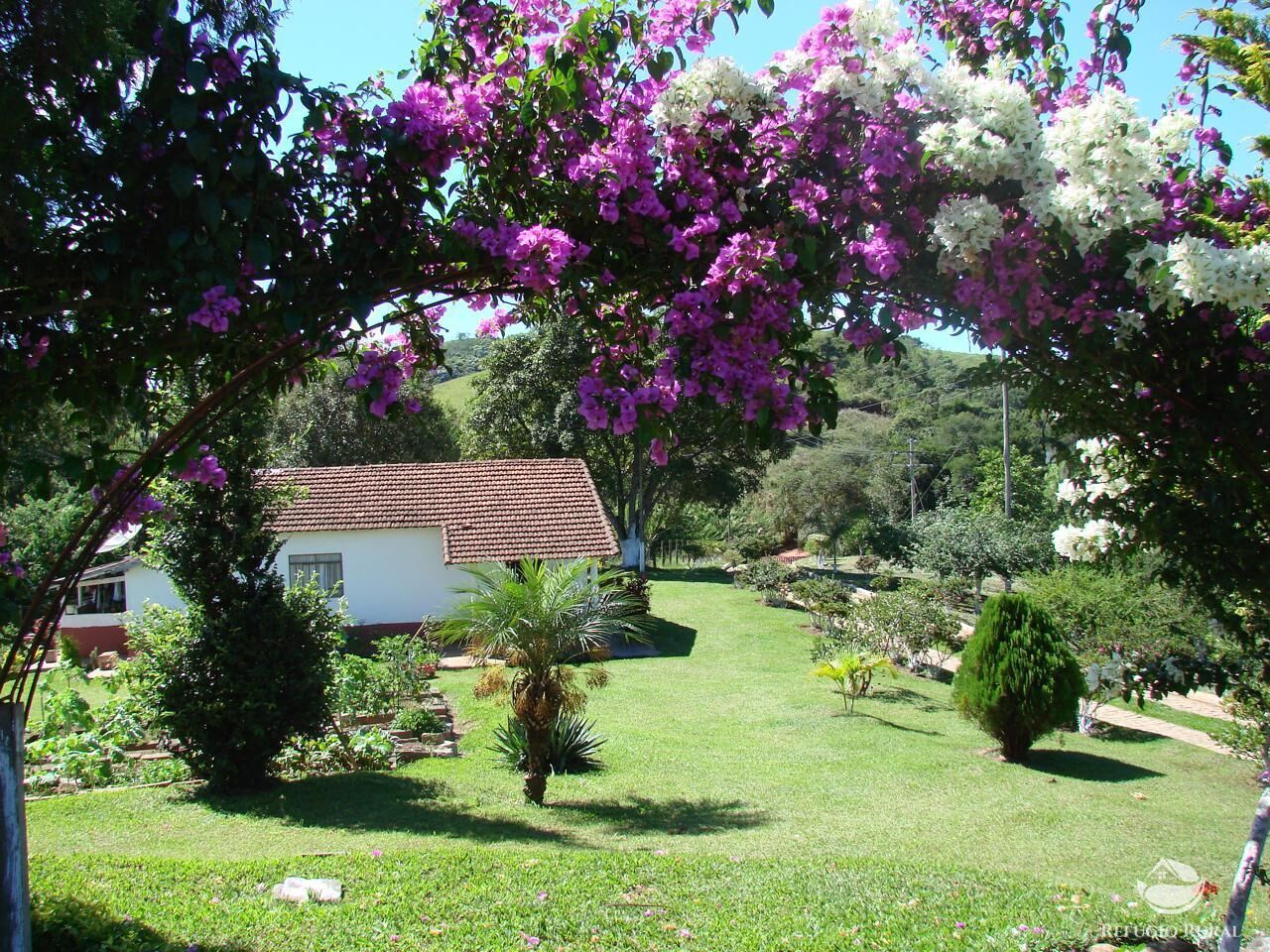 Fazenda à venda com 2 quartos, 80000m² - Foto 1