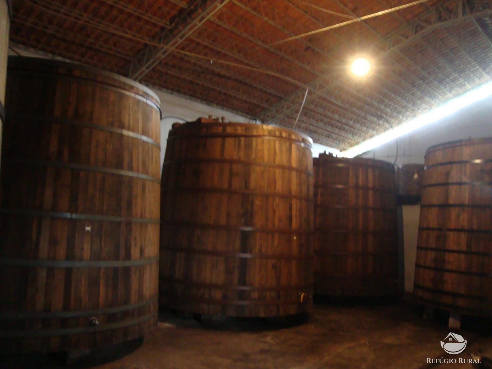 Fazenda à venda com 2 quartos, 80000m² - Foto 35