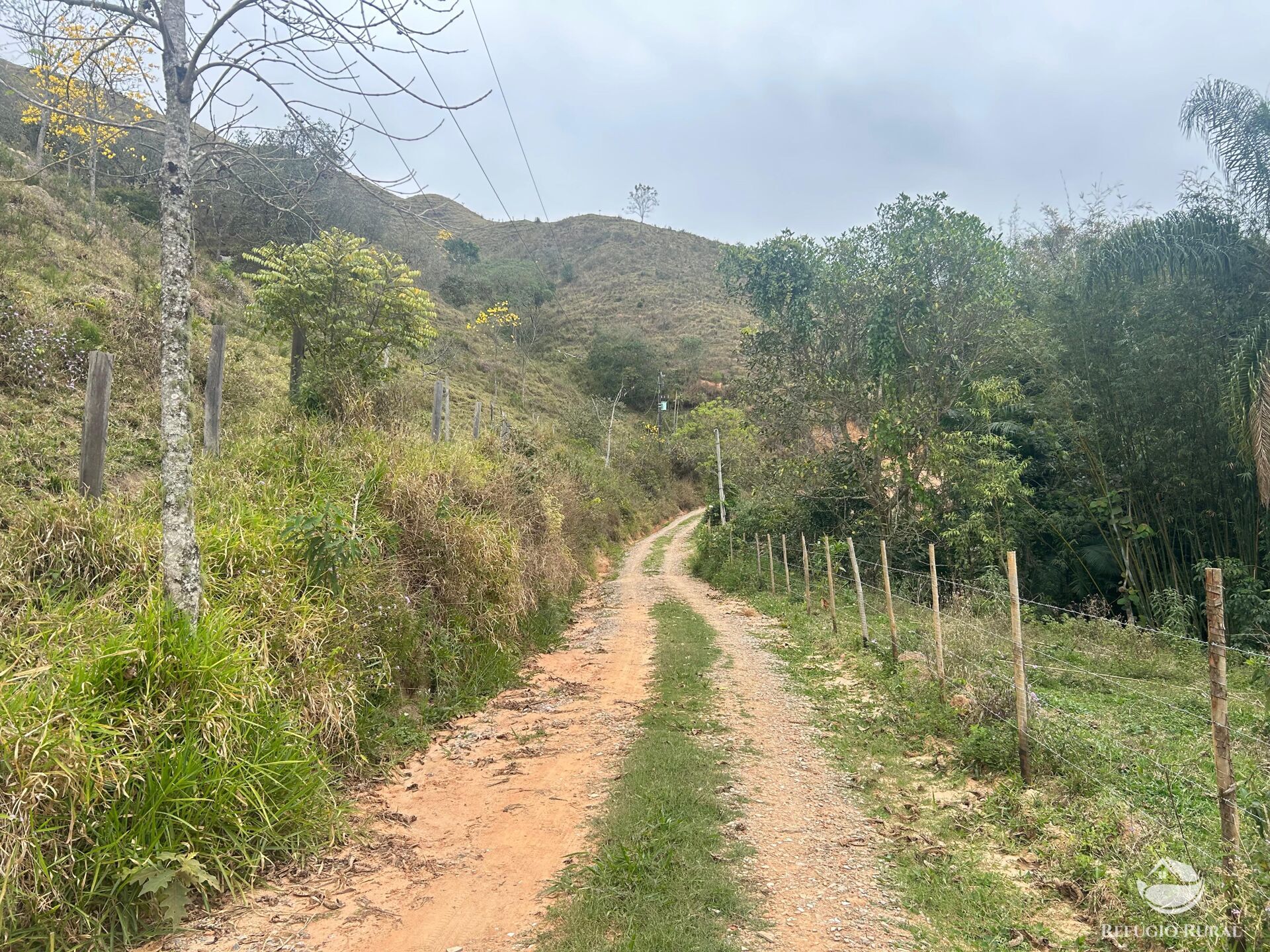 Sítio à venda com 2 quartos, 150000m² - Foto 14