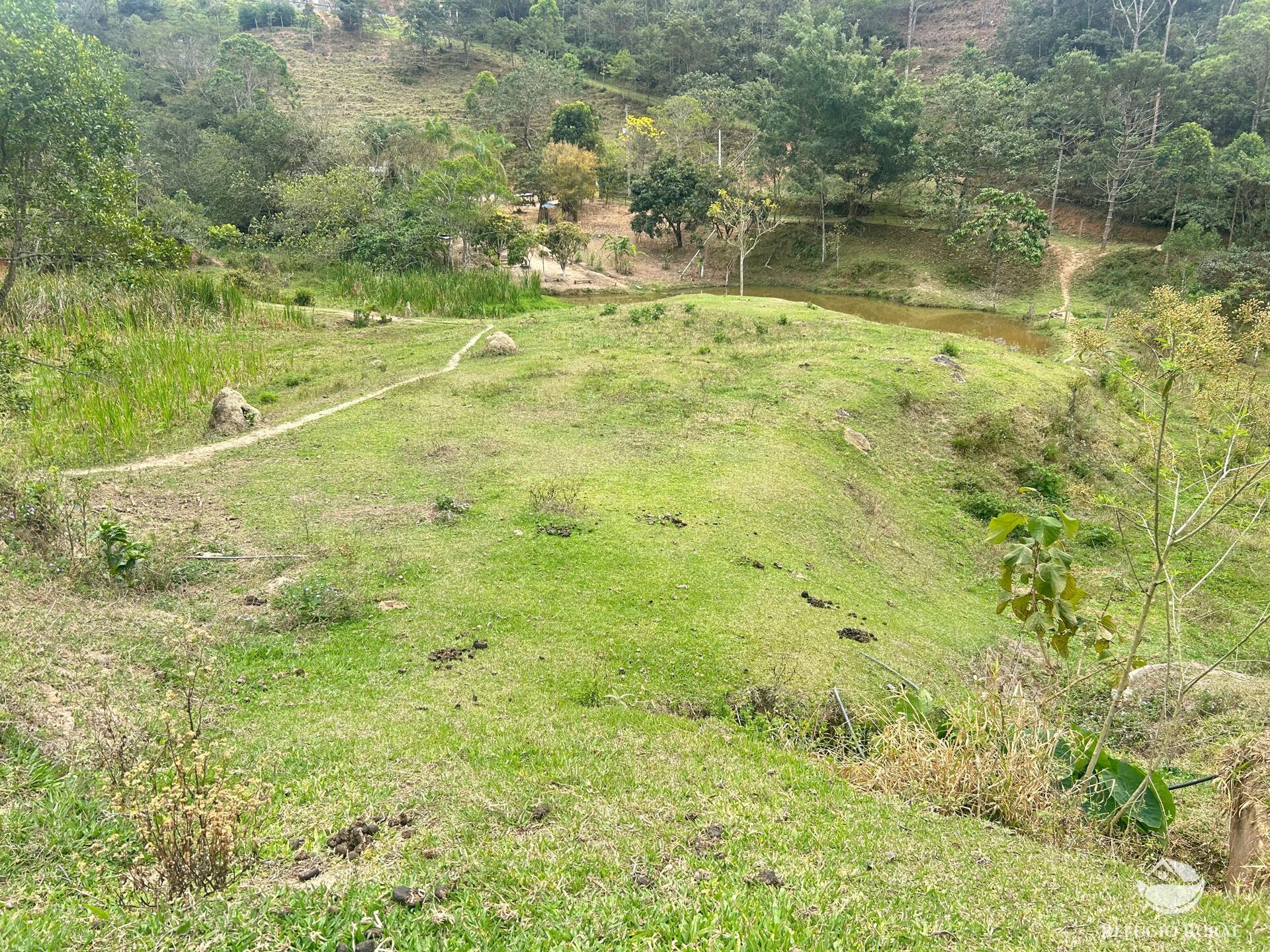 Sítio à venda com 2 quartos, 150000m² - Foto 19