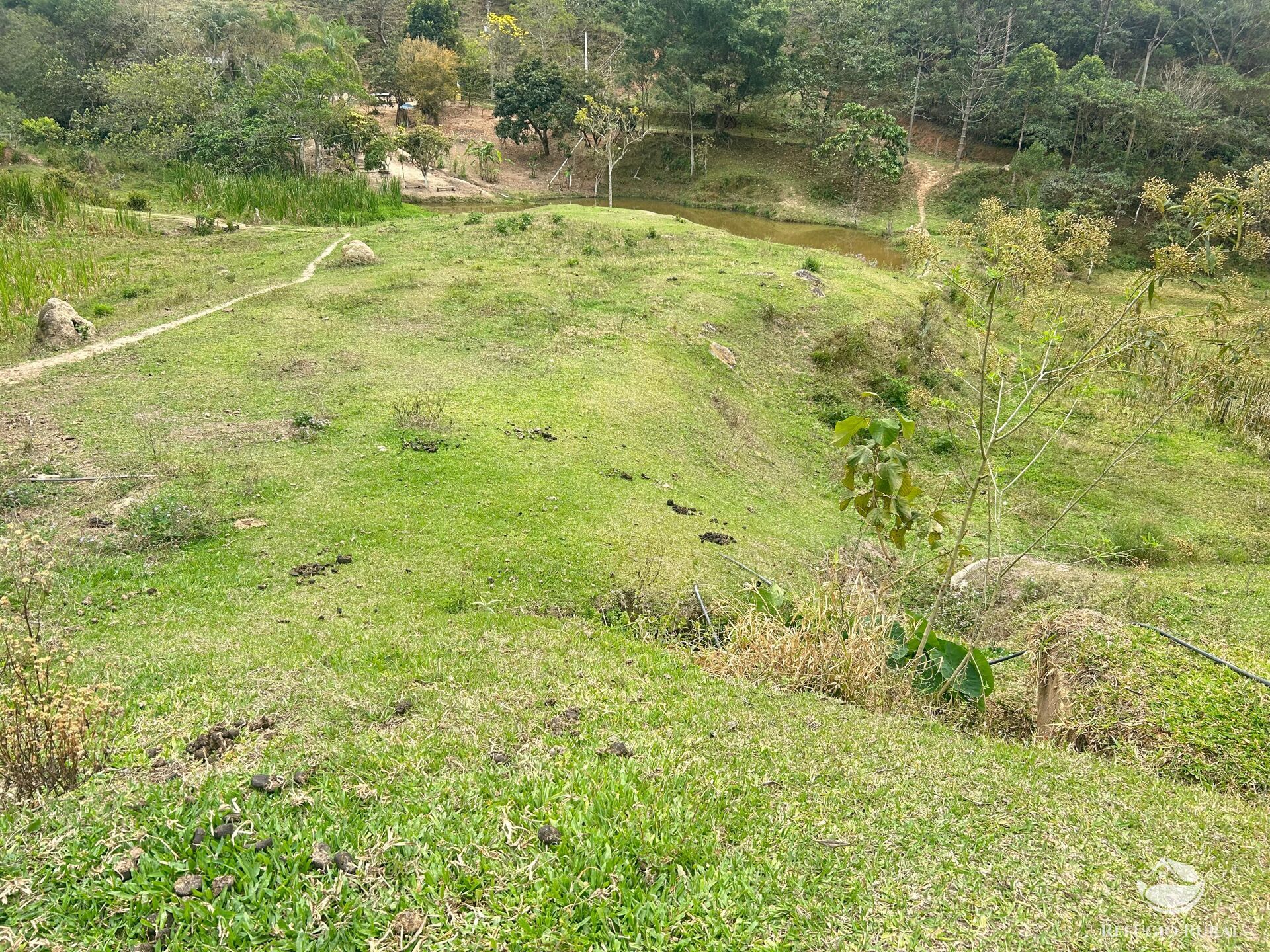 Sítio à venda com 2 quartos, 150000m² - Foto 17