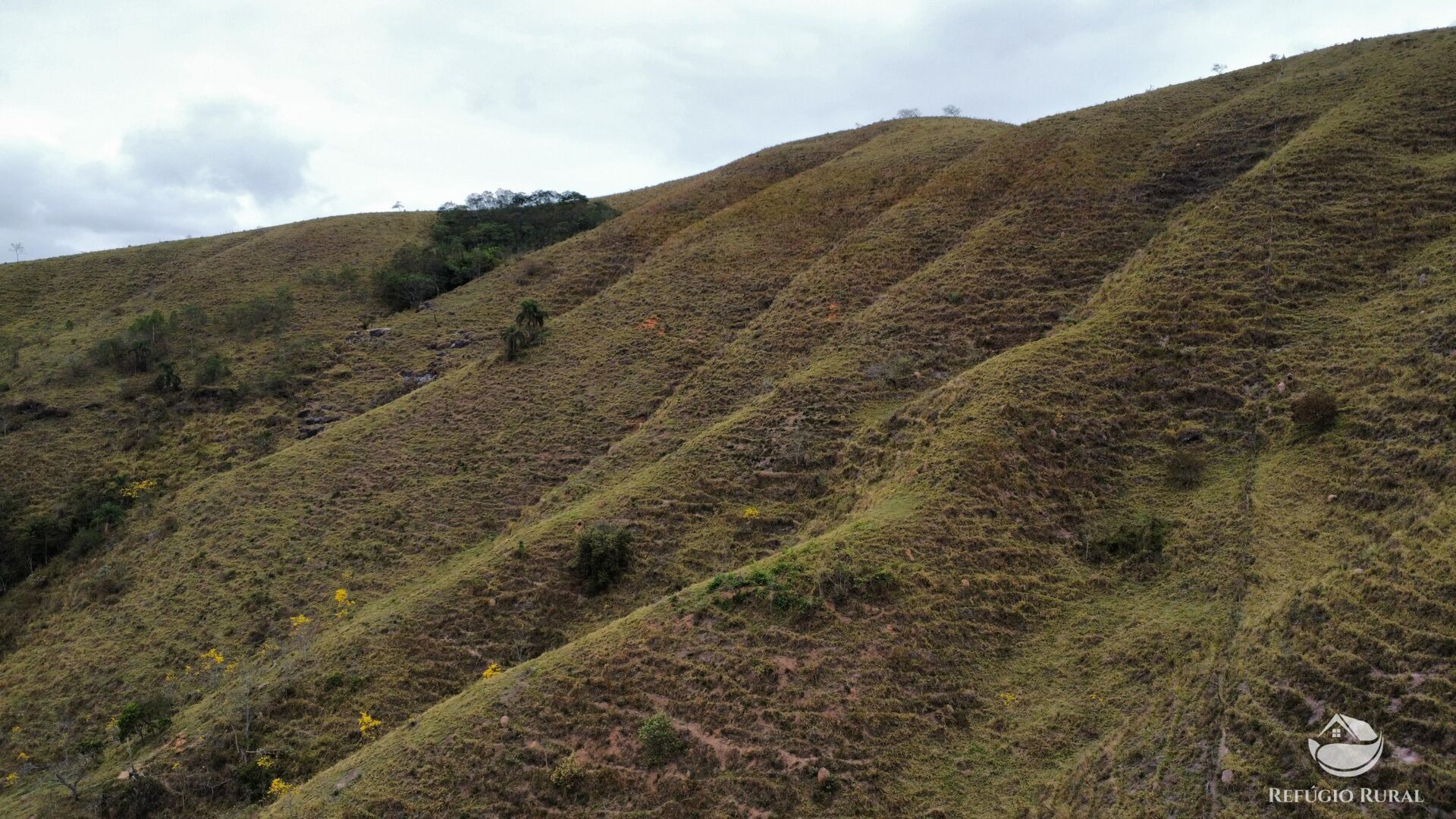 Sítio à venda com 2 quartos, 150000m² - Foto 9