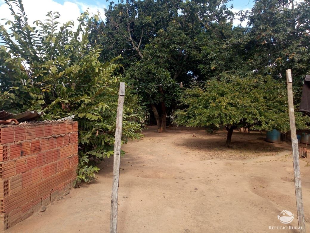 Fazenda à venda com 3 quartos, 1700m² - Foto 6