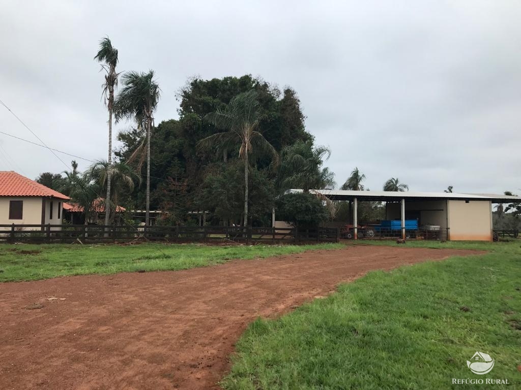 Fazenda à venda com 3 quartos, 5227200m² - Foto 7