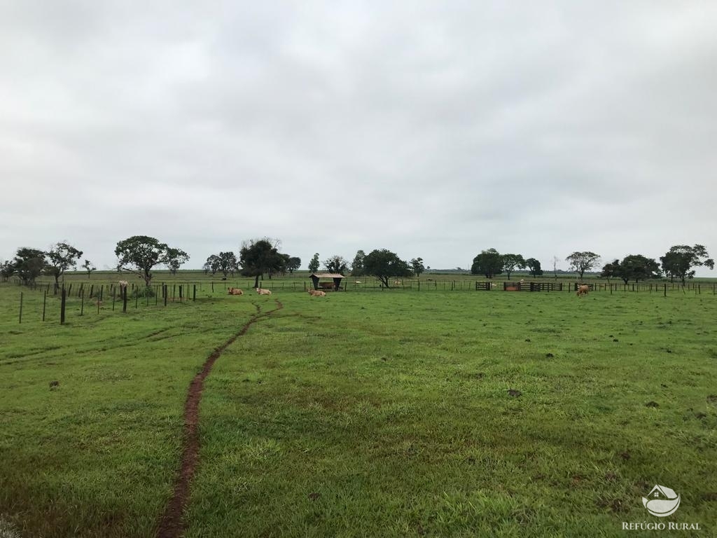 Fazenda à venda com 3 quartos, 5227200m² - Foto 2