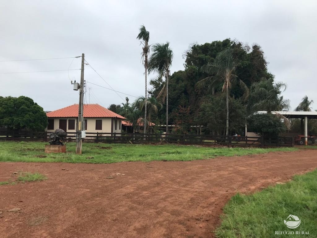 Fazenda à venda com 3 quartos, 5227200m² - Foto 13