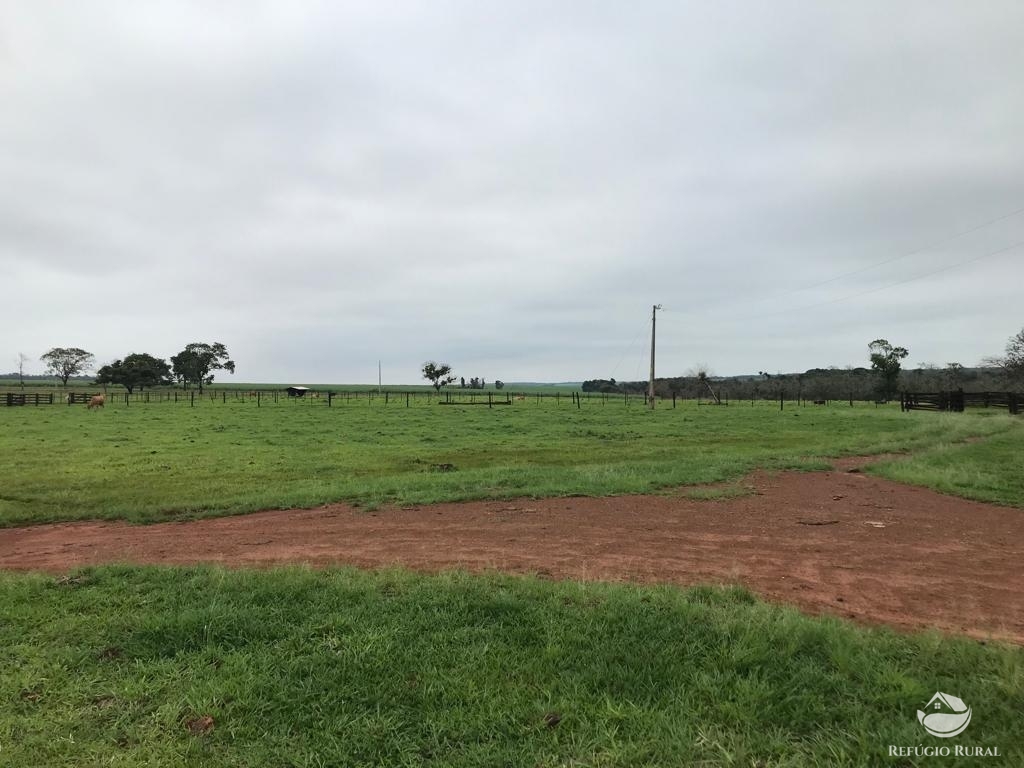 Fazenda à venda com 3 quartos, 5227200m² - Foto 3