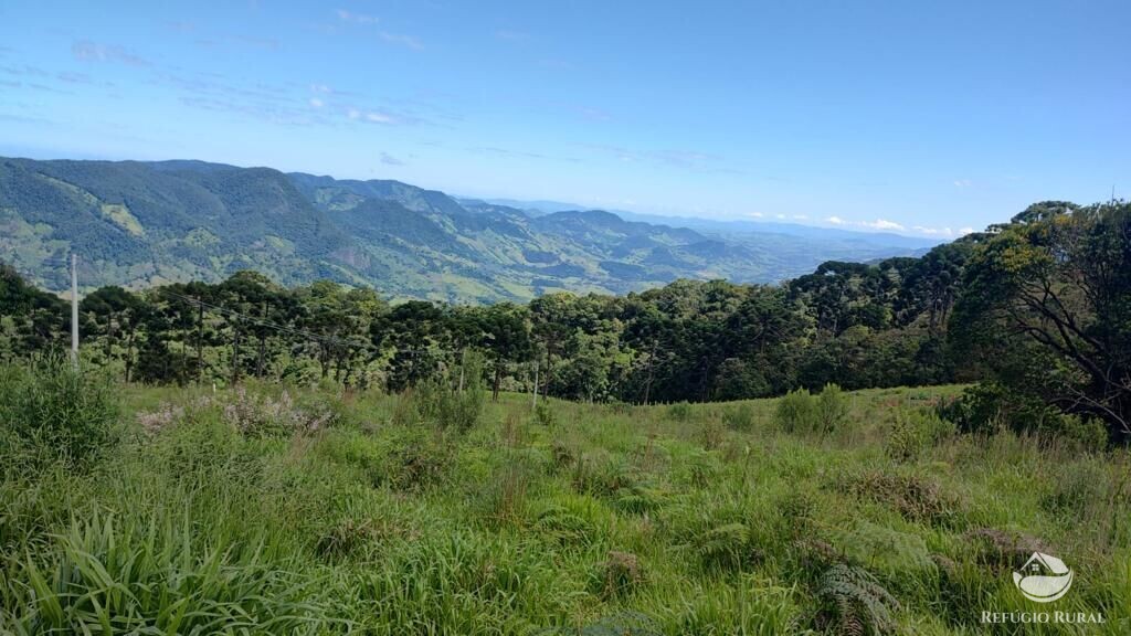 Terreno à venda, 22800m² - Foto 1