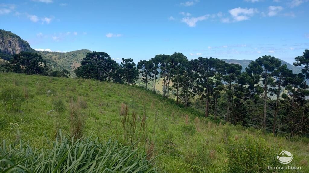 Terreno à venda, 22800m² - Foto 6