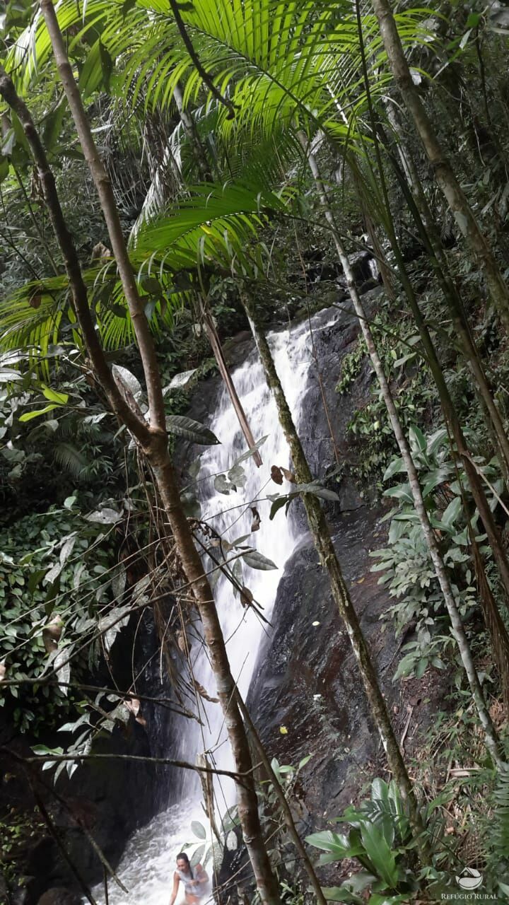 Fazenda à venda, 1210000m² - Foto 9