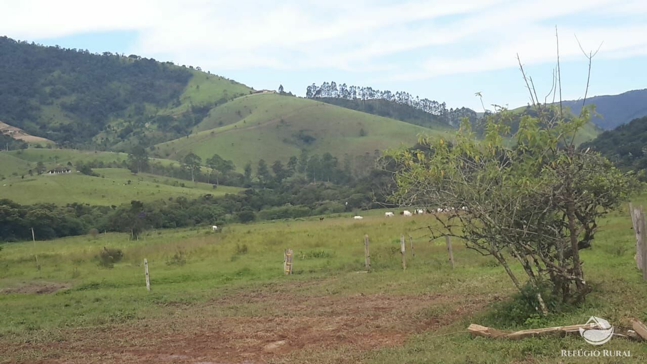 Fazenda à venda, 1210000m² - Foto 13