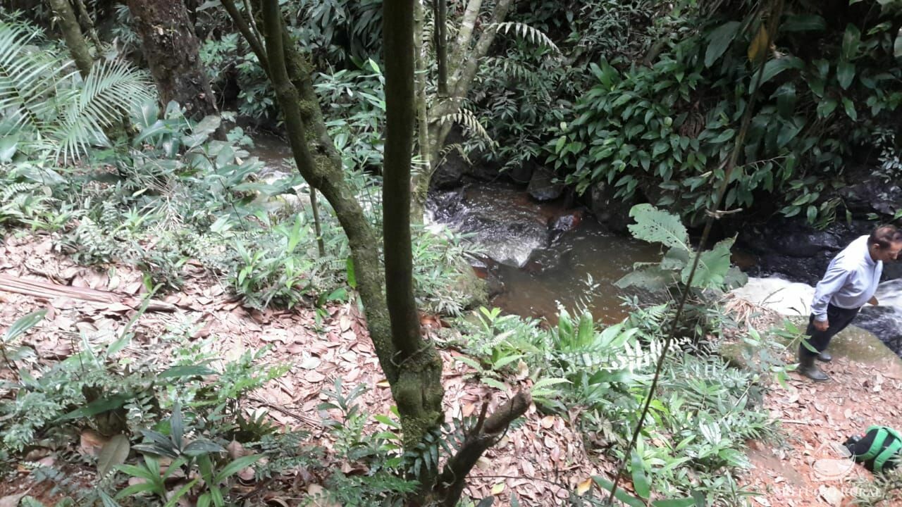 Fazenda à venda, 1210000m² - Foto 8