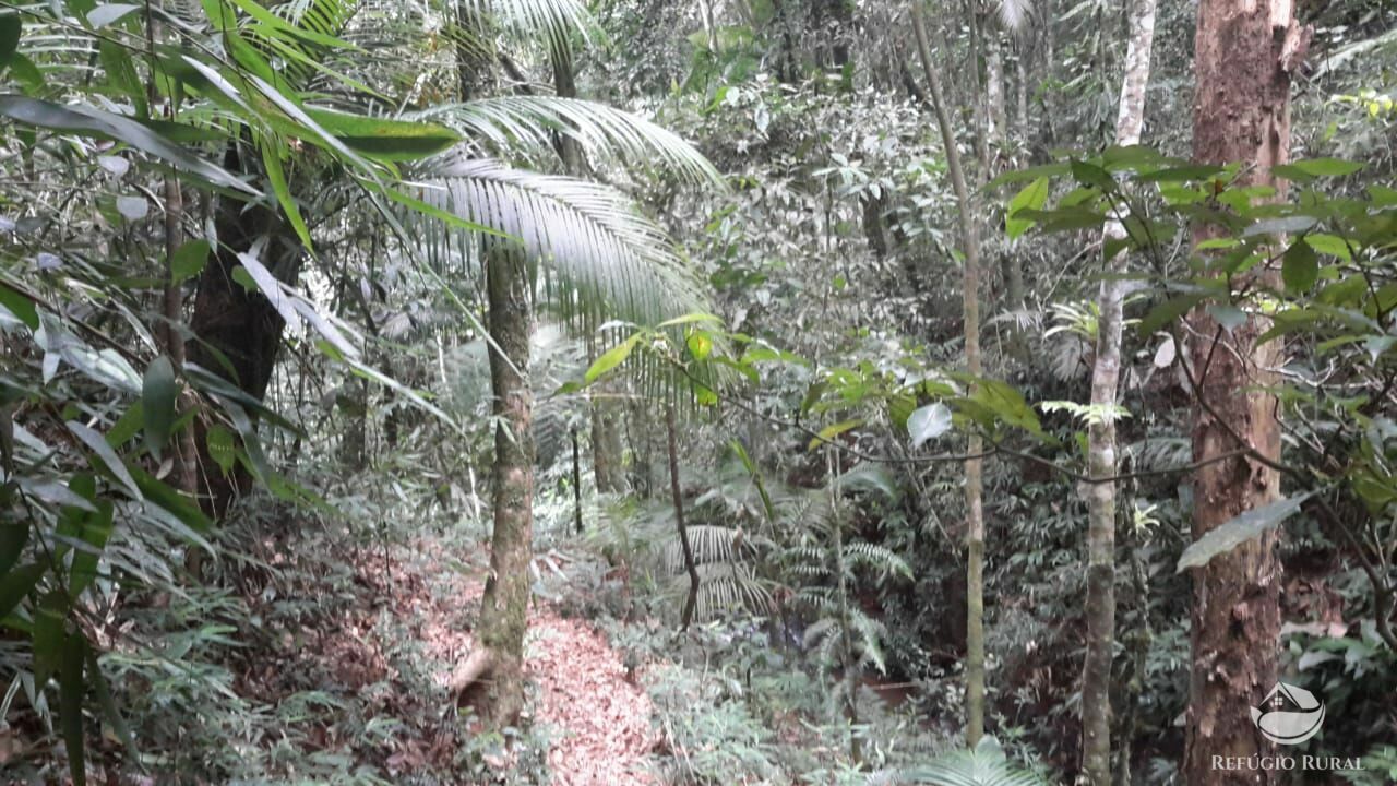 Fazenda à venda, 1210000m² - Foto 15