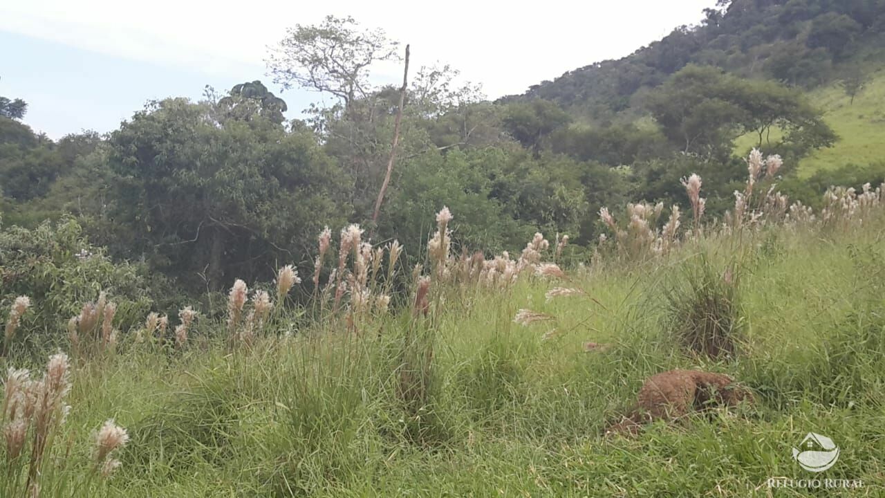 Fazenda à venda, 1210000m² - Foto 4