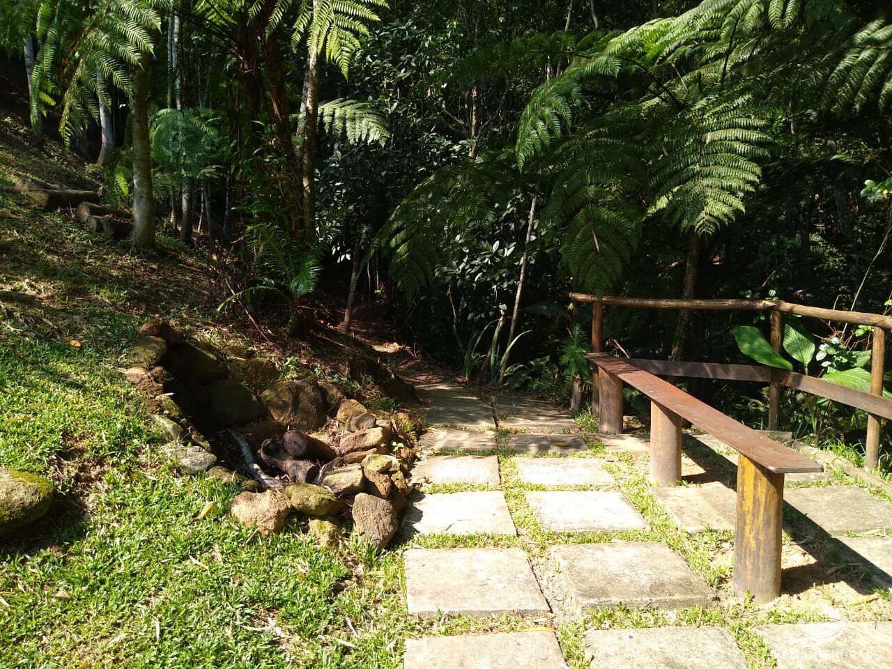 Fazenda à venda com 4 quartos, 28000m² - Foto 36