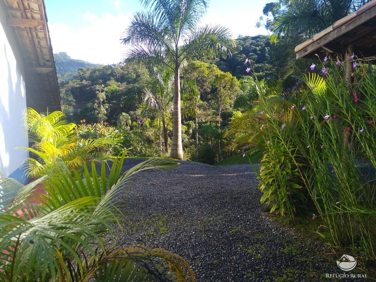 Fazenda à venda com 4 quartos, 28000m² - Foto 41