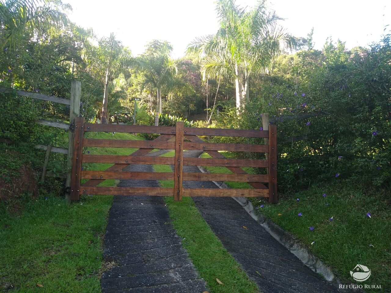 Fazenda à venda com 4 quartos, 28000m² - Foto 43