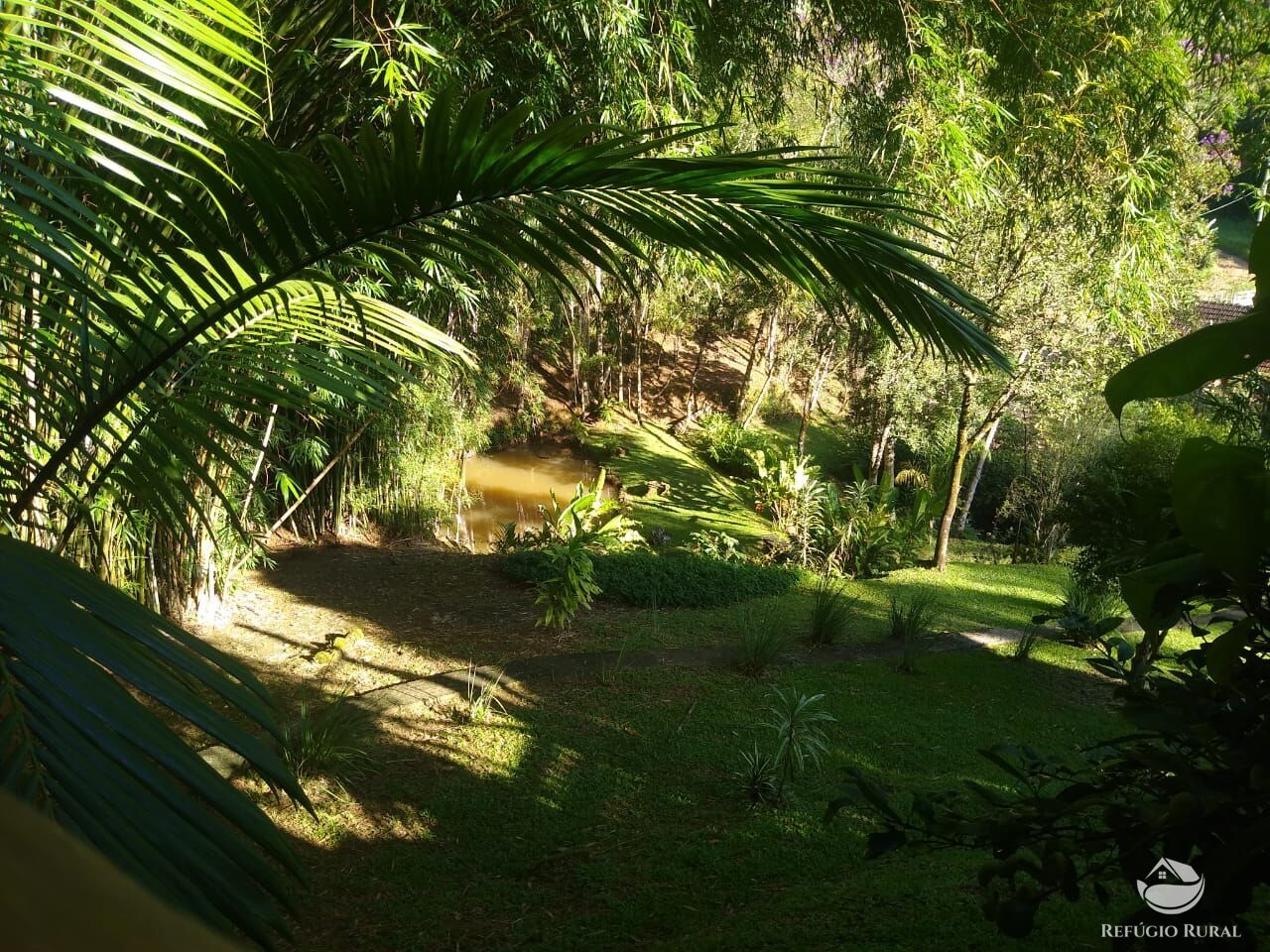 Fazenda à venda com 4 quartos, 28000m² - Foto 40