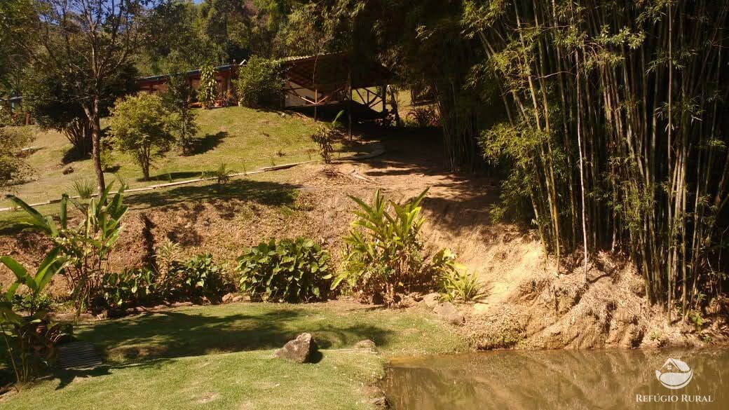 Fazenda à venda com 4 quartos, 28000m² - Foto 38